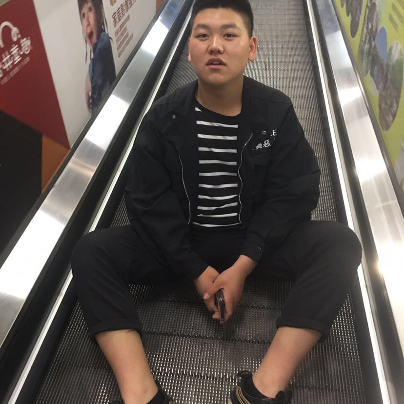 小胖胖林的照片