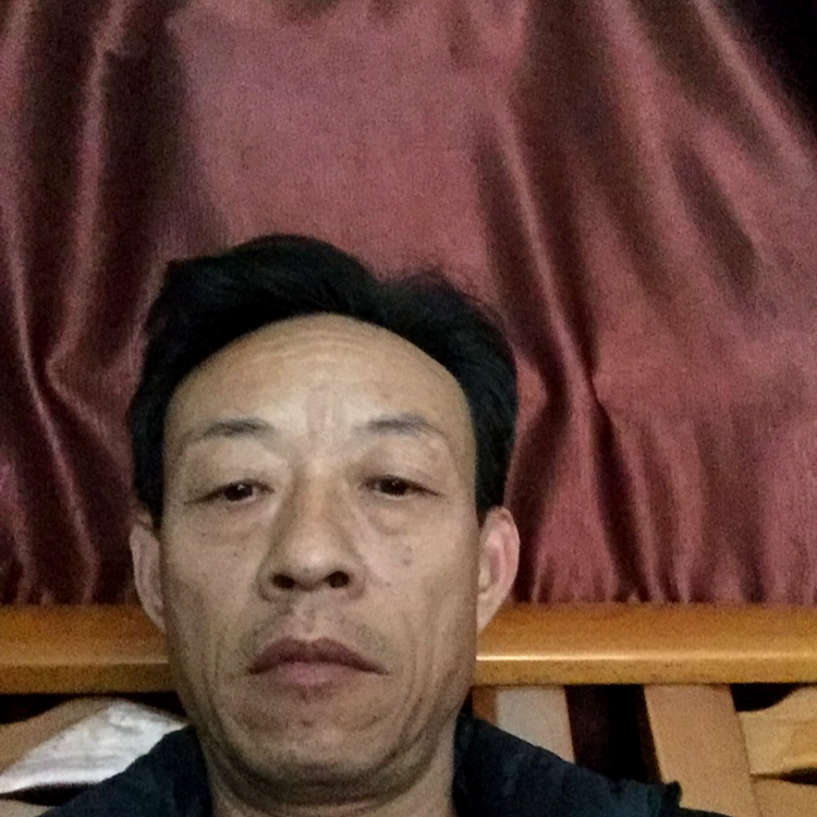 含羞草老实的照片