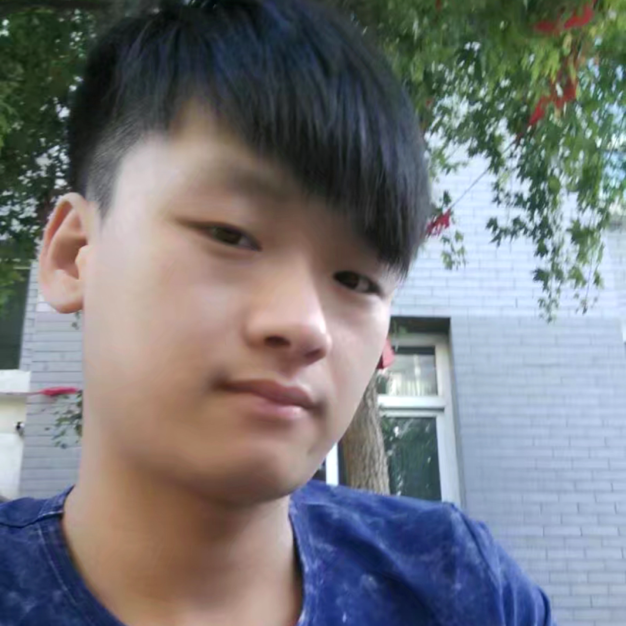 梦之天琪的照片