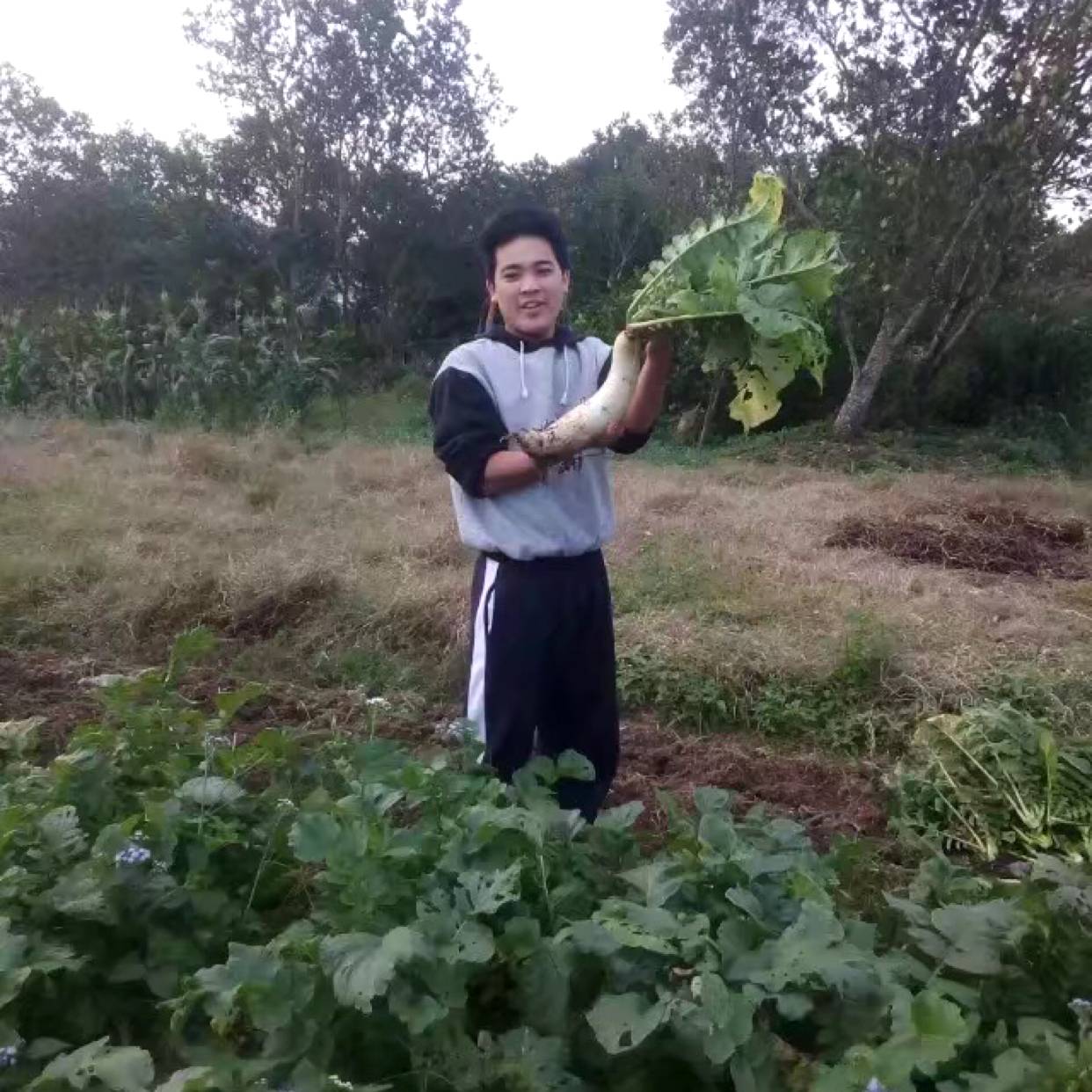 邓尚发的照片