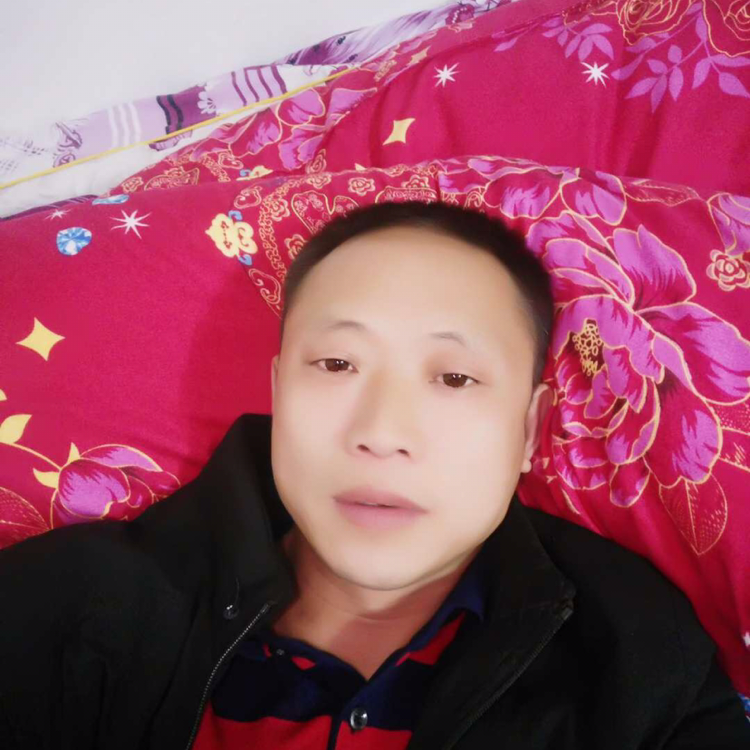 炙热深拥黄蜂的照片