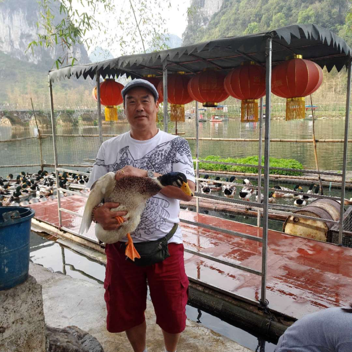 含蓄爱板凳的照片