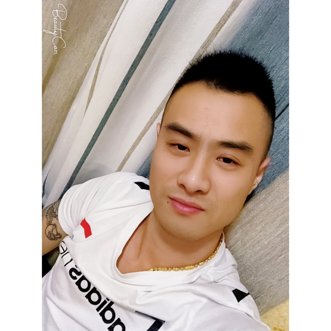 刚枪小银刺的照片