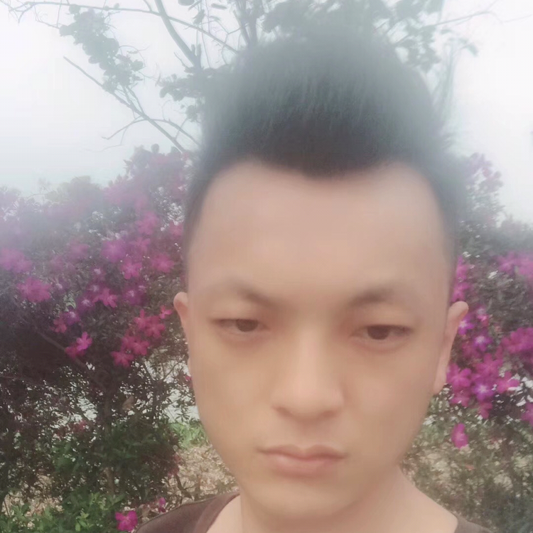 曫……的照片