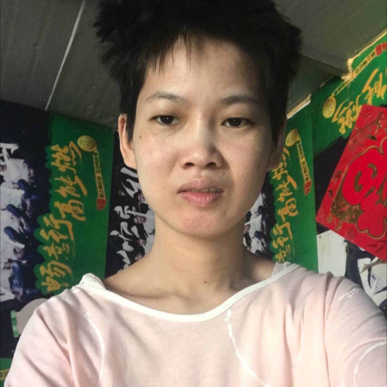 小夜蕾的照片
