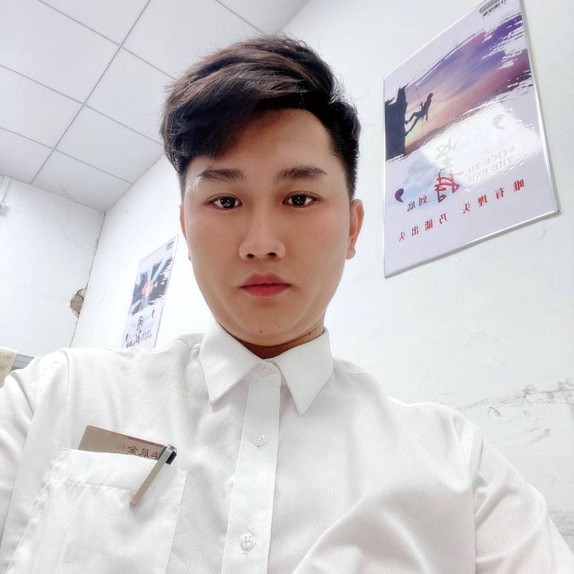 笨笨书本的照片