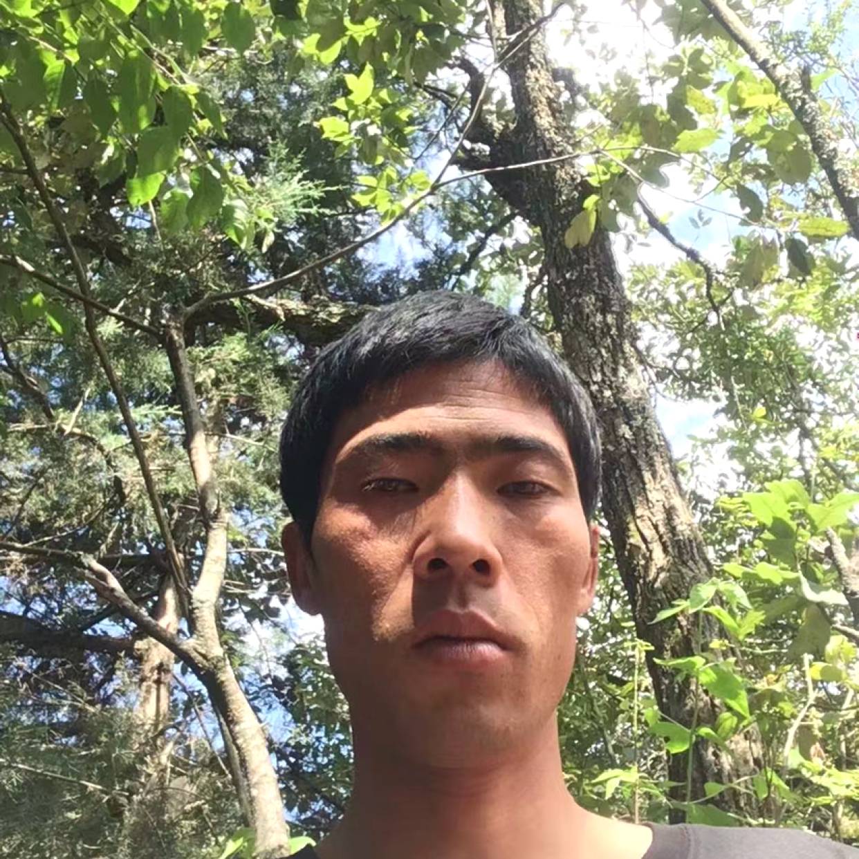 天天爱着你的照片