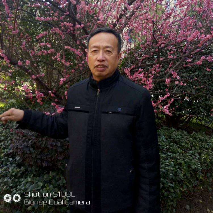 孤嬿南飞的照片