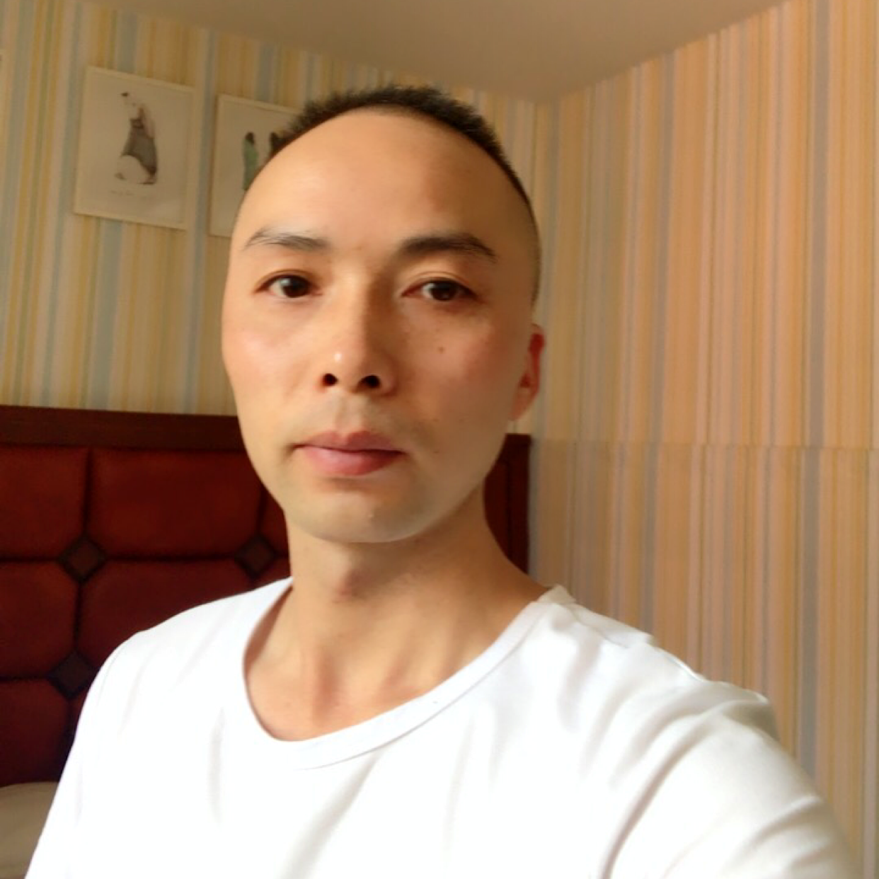 陌上离稍的照片