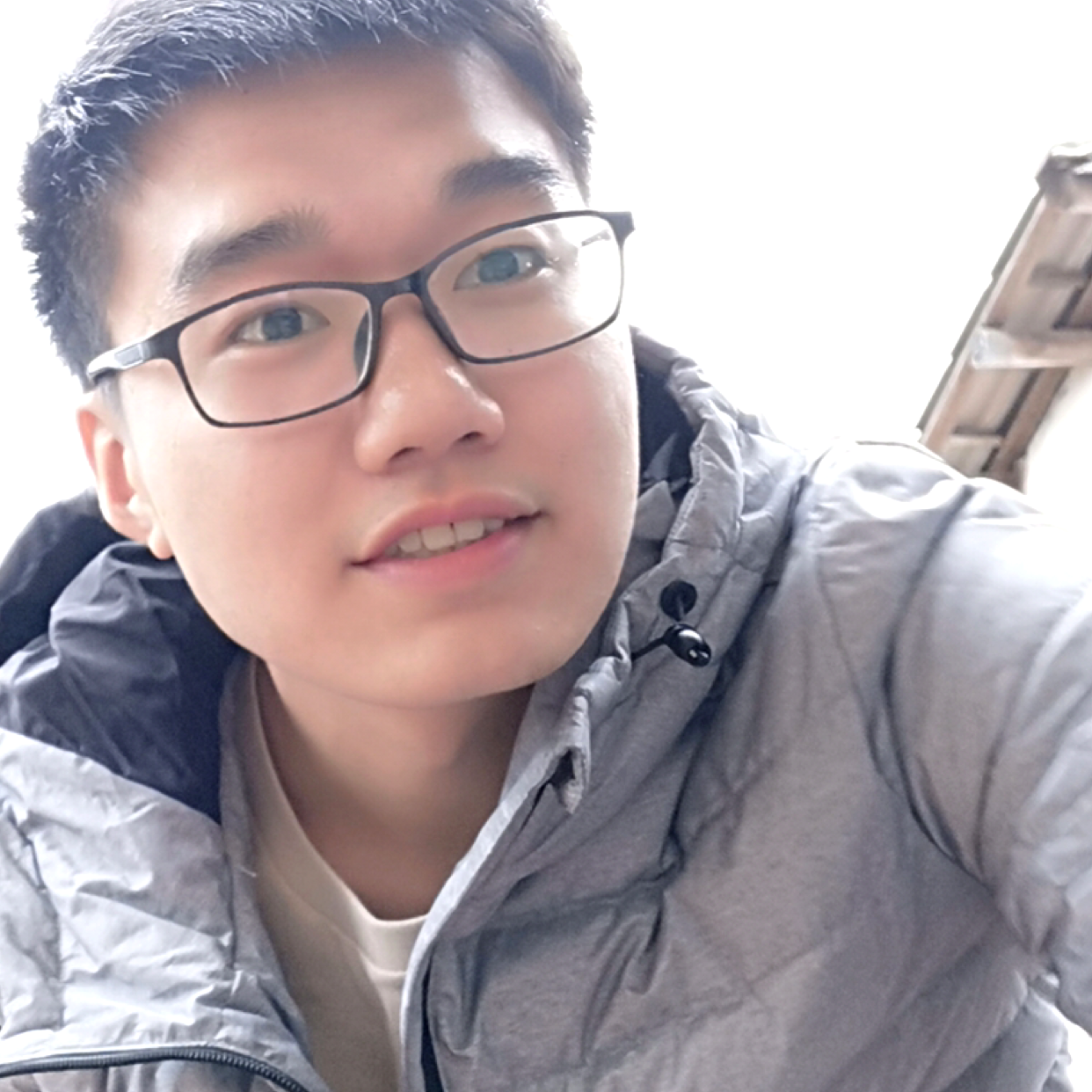 箭猪的照片