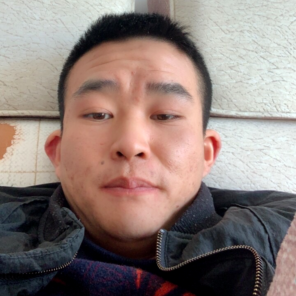 金鱼改变阔达的照片