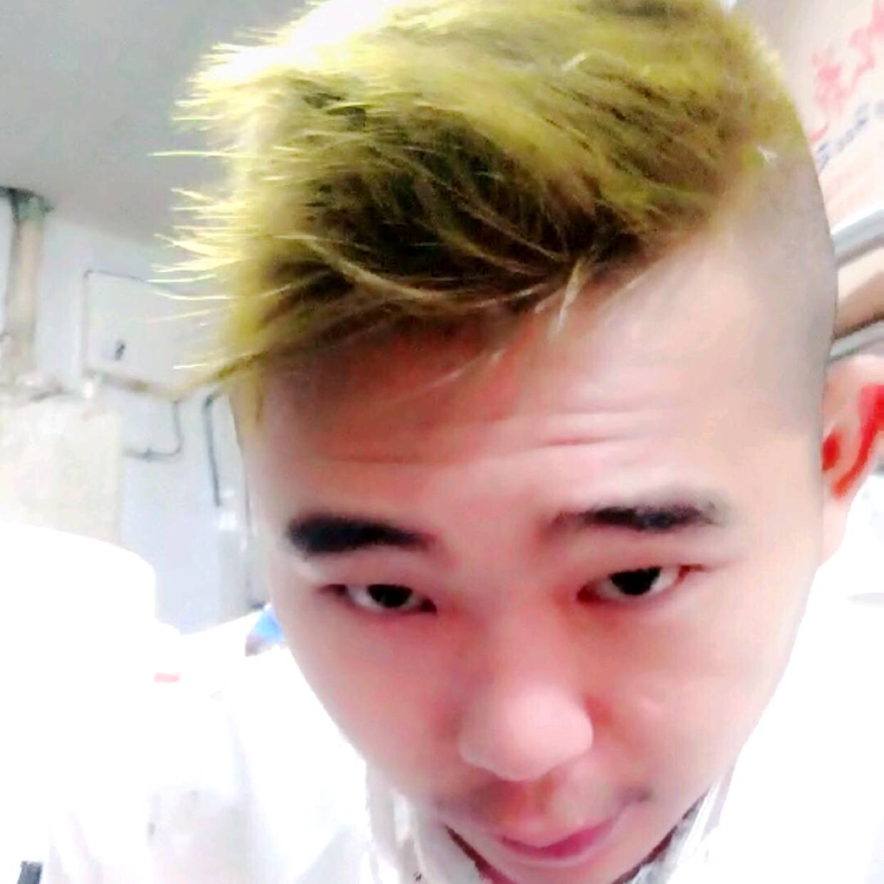芝麻与柔弱的照片