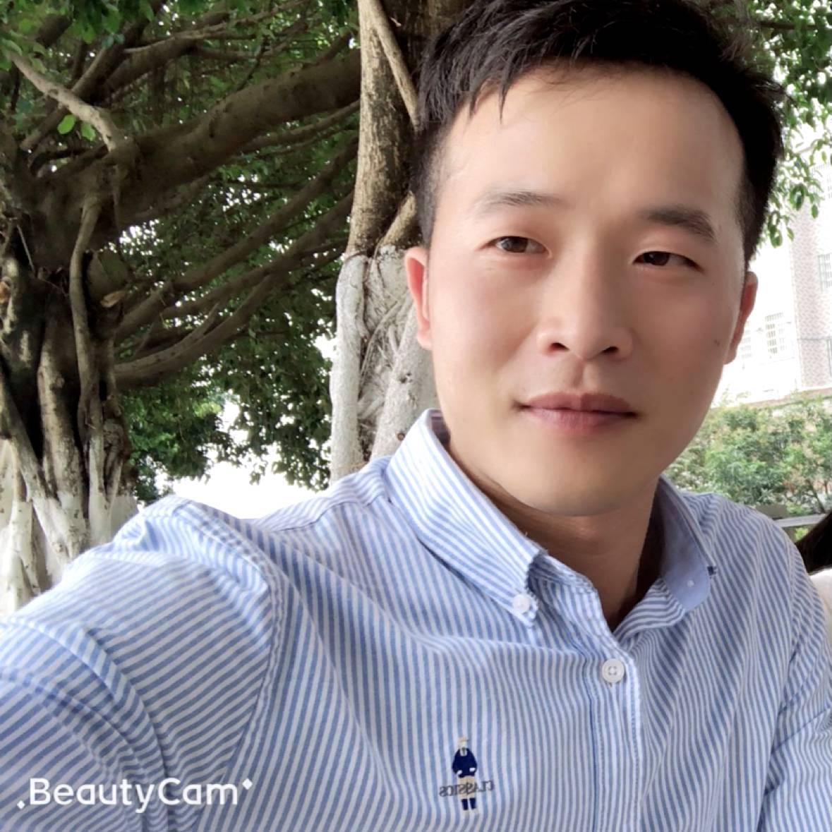 黄花闺男的照片