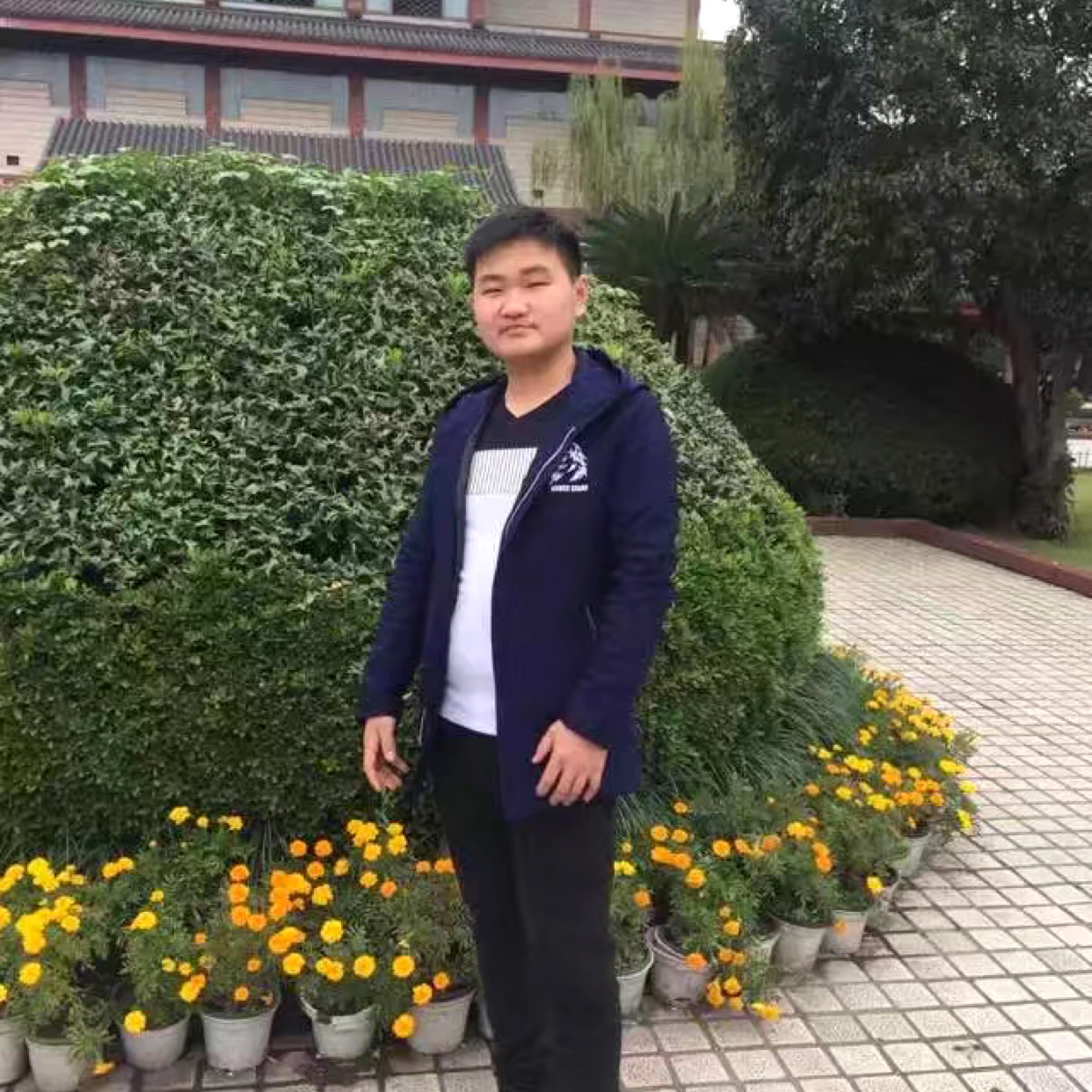 季节零碎的照片