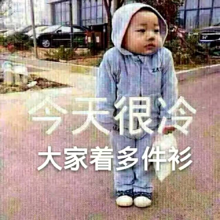 呆萌回首河马的照片