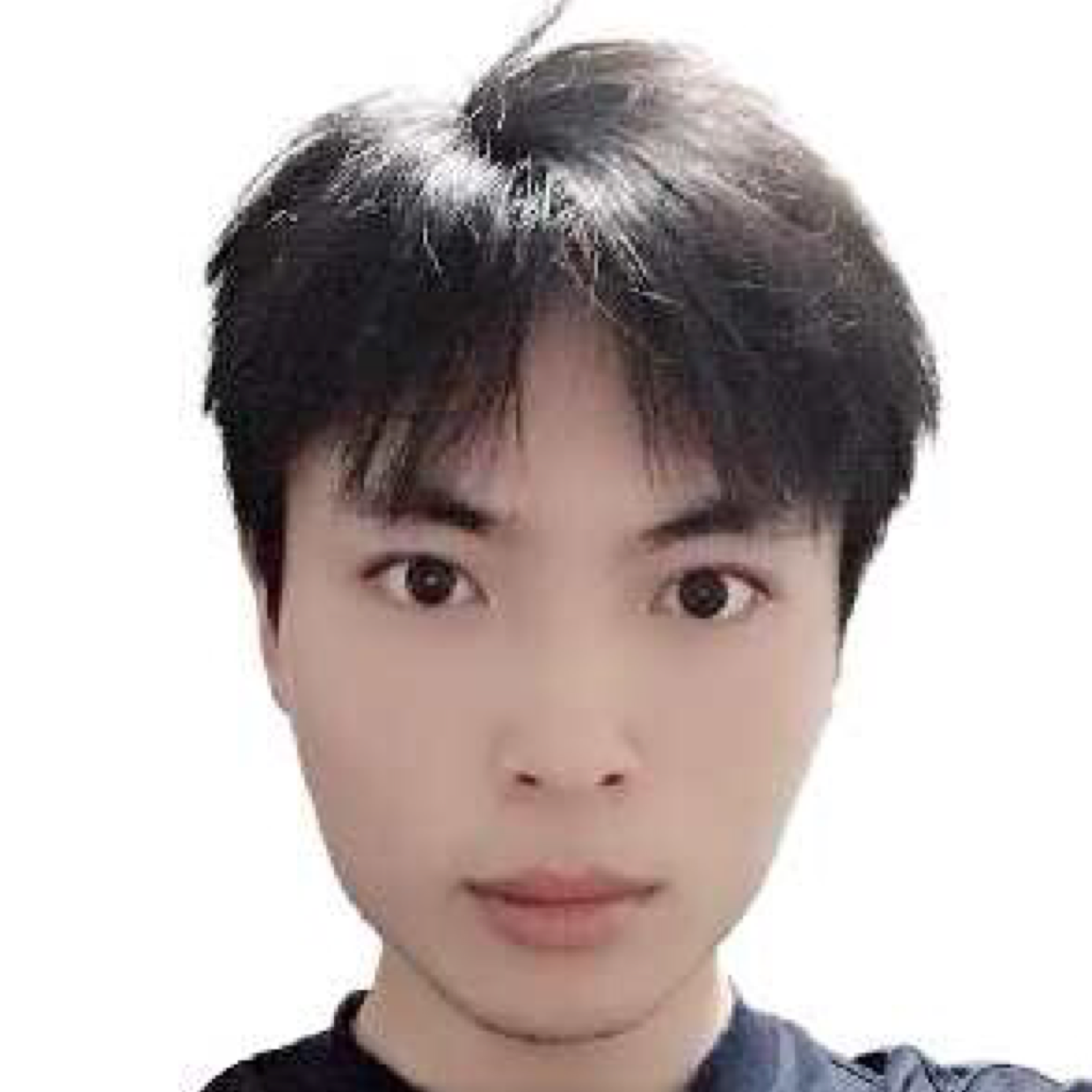 毛孩儿的照片
