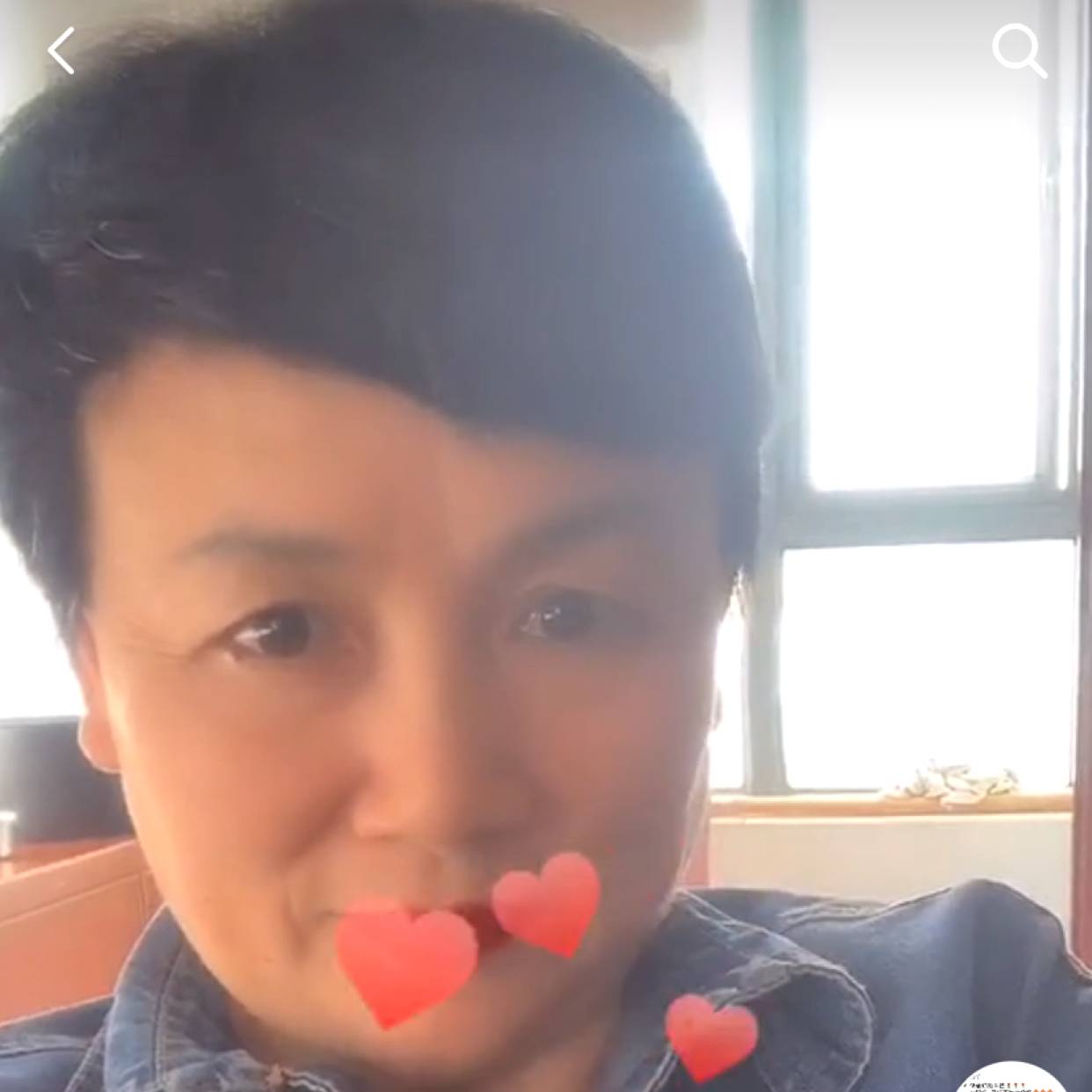 斯文玉米，的照片