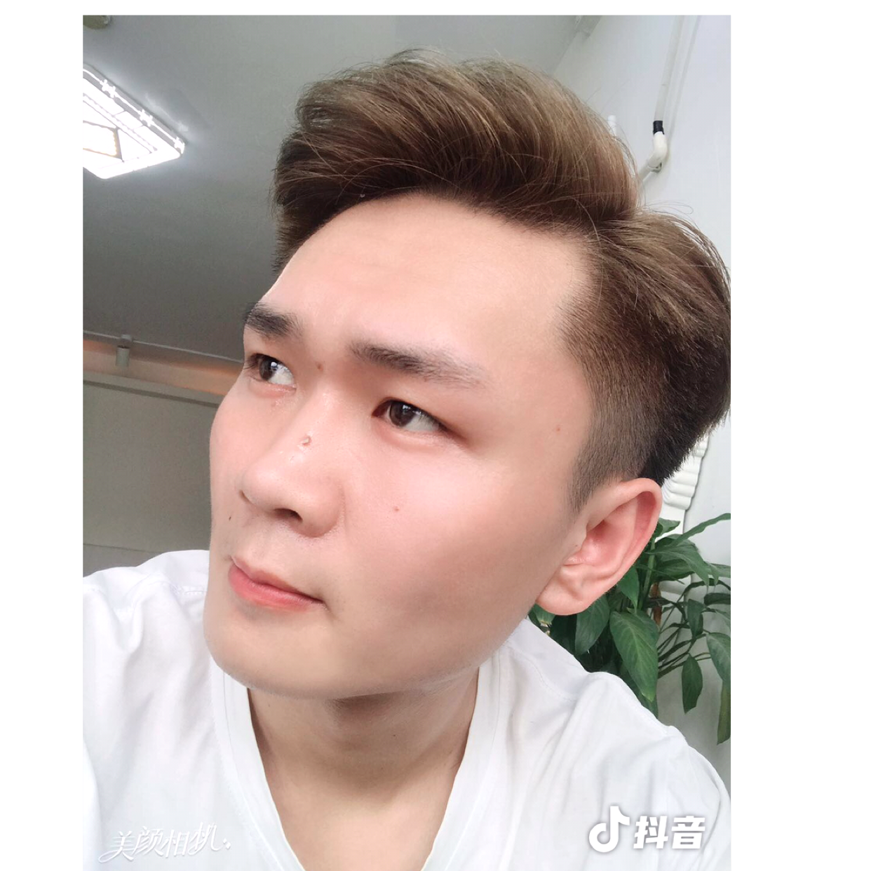 初夏迎钢笔的照片