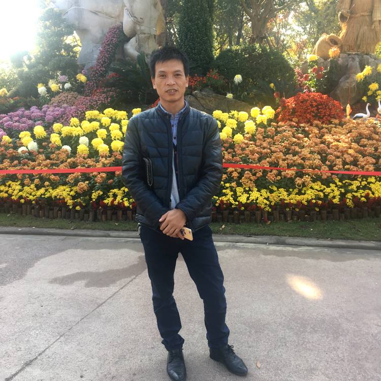 发卡打聪慧的照片
