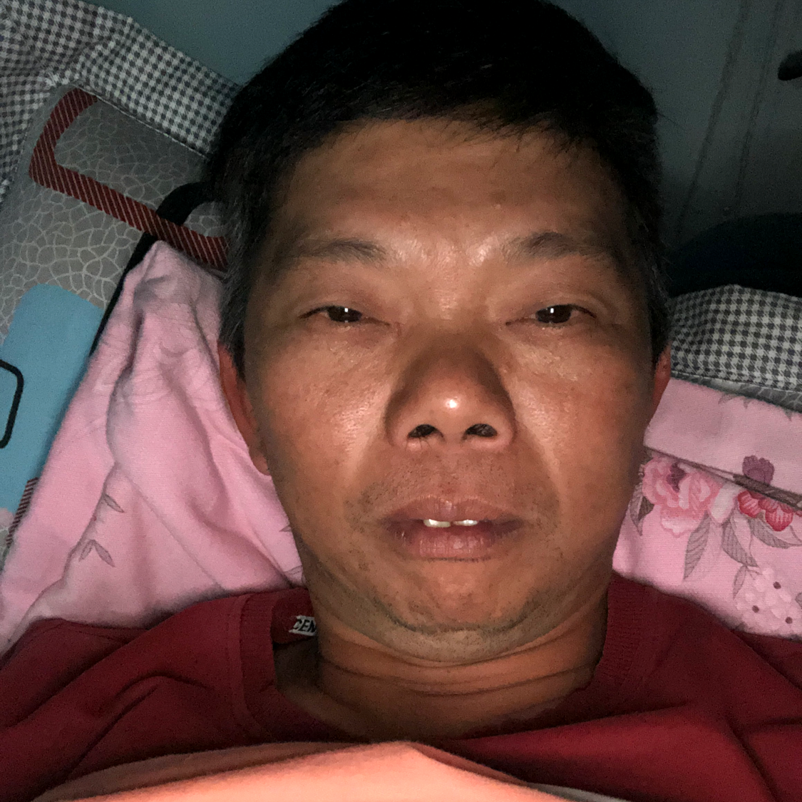 蚂蚁成就的照片
