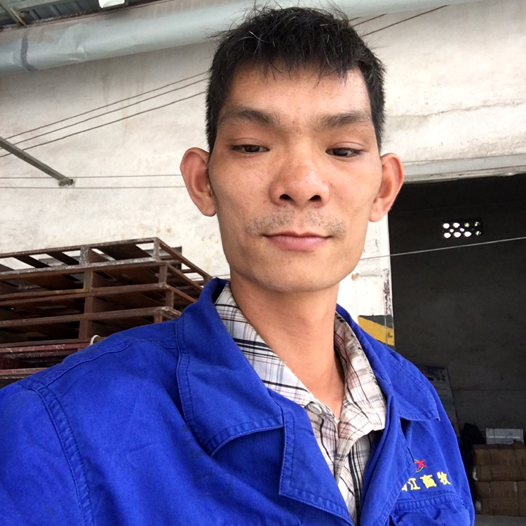 母鸡彪壮的照片