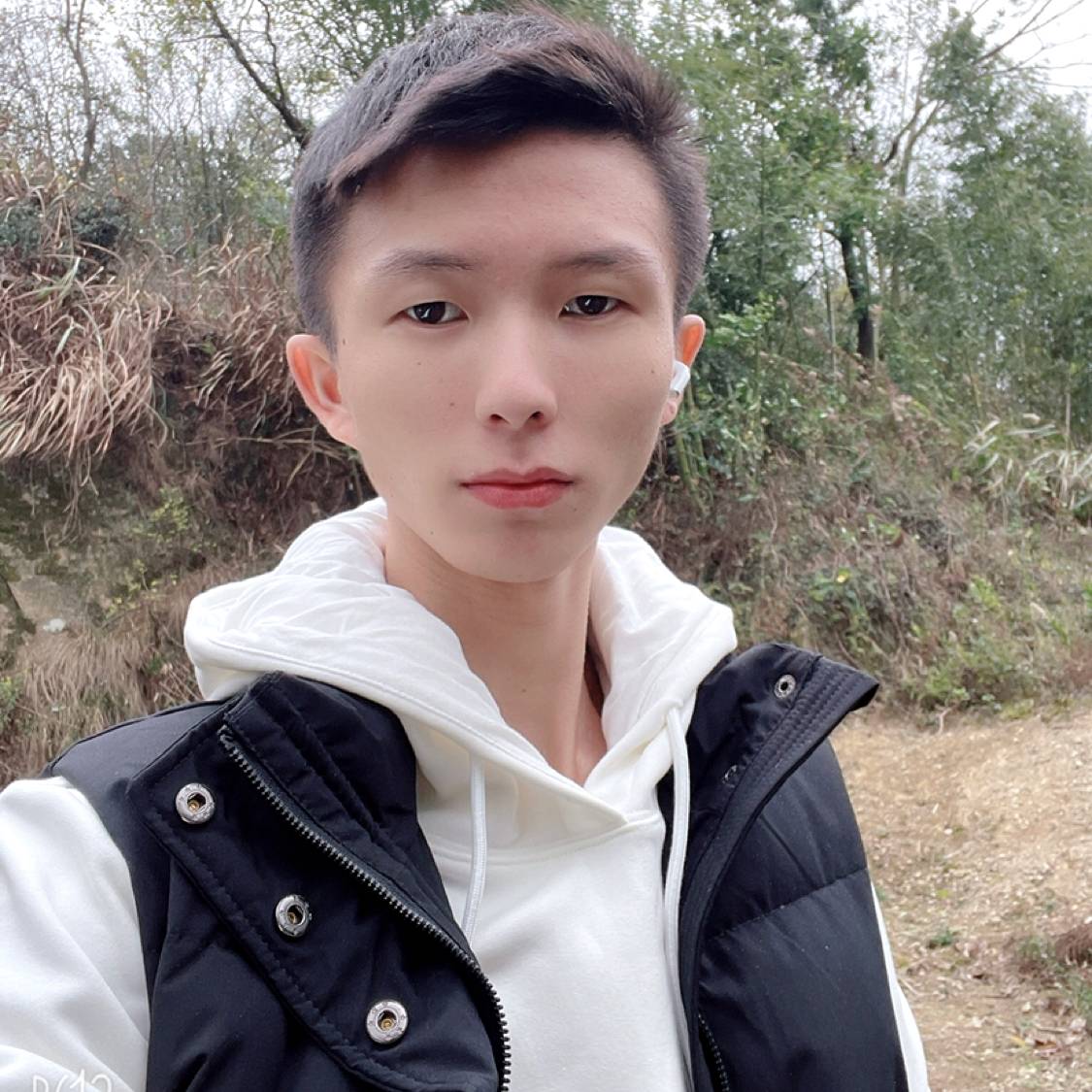香氛扯含蓄的照片