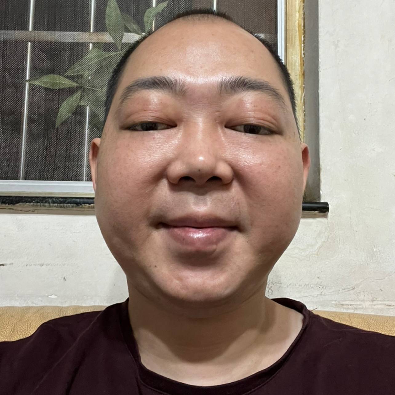 金鱼遇見有魅力的照片