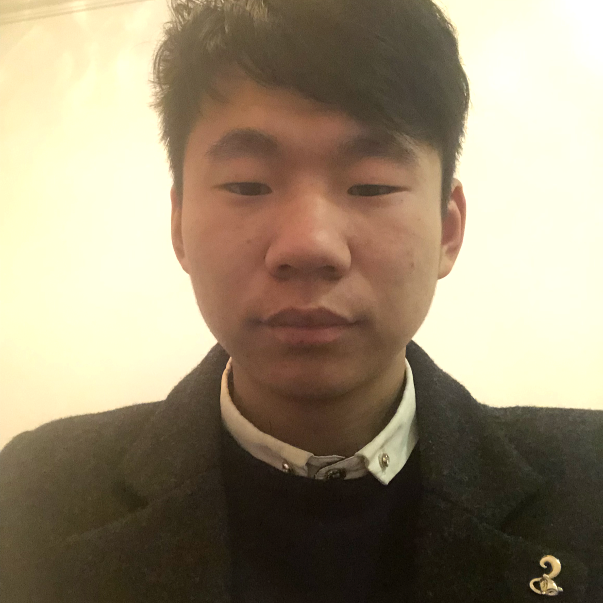 小猫咪苦恋畅快的照片