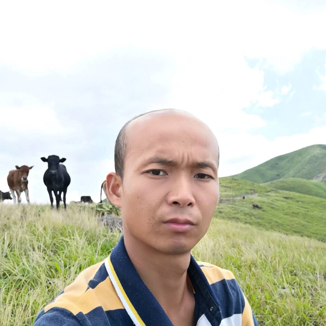 勤奋拾忆铃铛的照片
