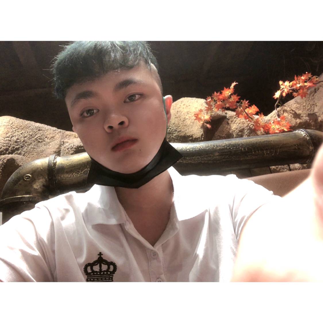 热心倾心鸭子的照片