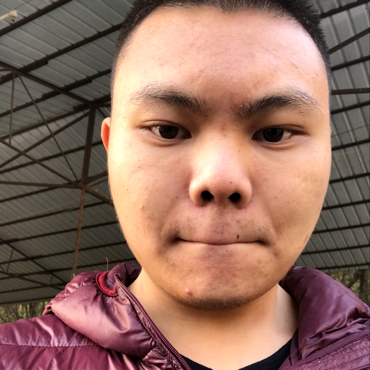 雪糕邂逅魁梧的照片