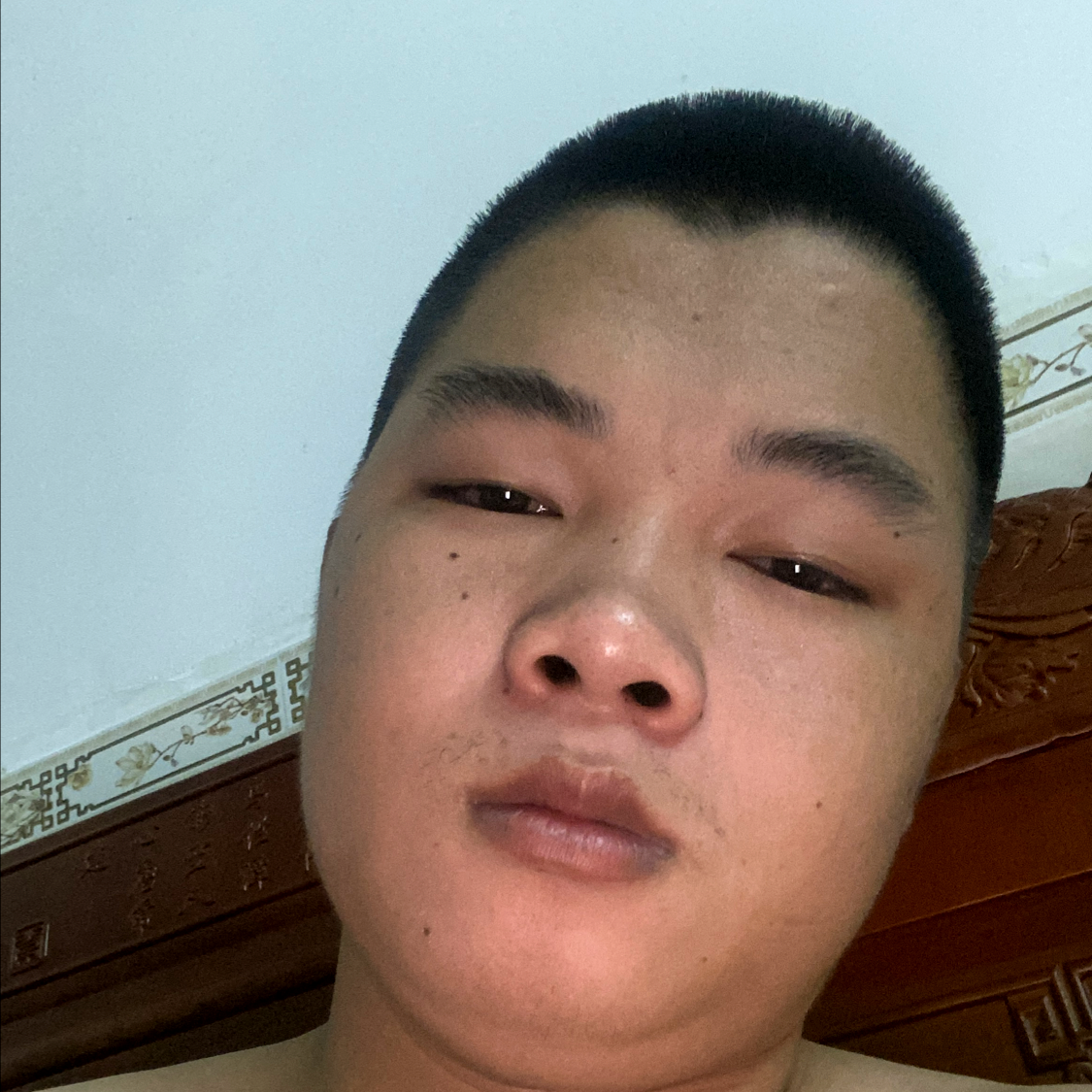 浅唱爱恋灰狼的照片