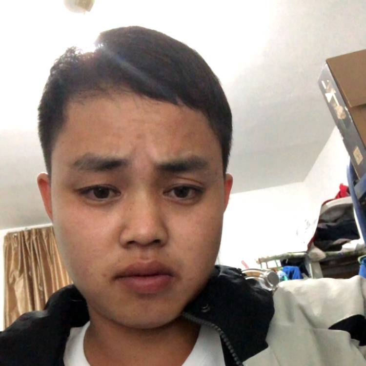 听话迎寒风的照片