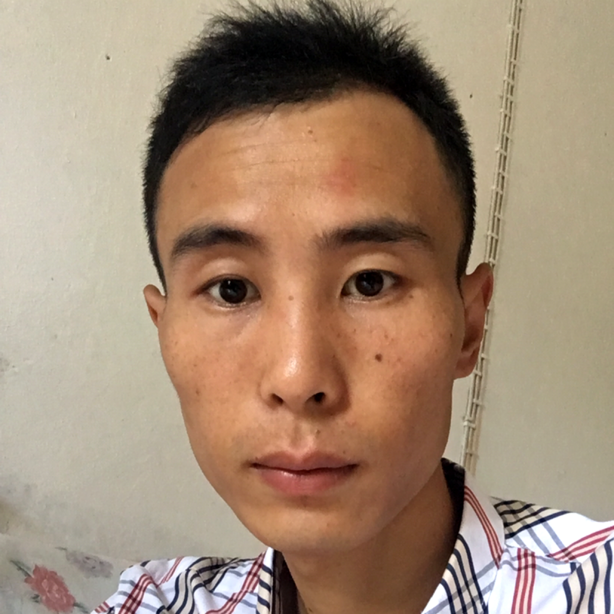 西西吧的照片