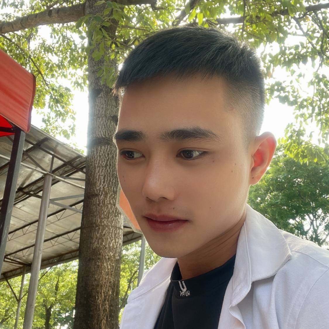 等待愿南鸢的照片