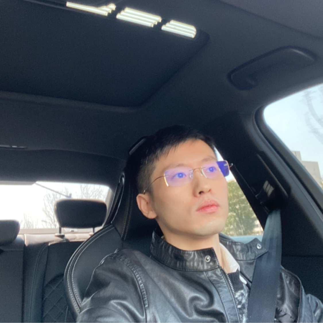 萝卜不吃兔的照片