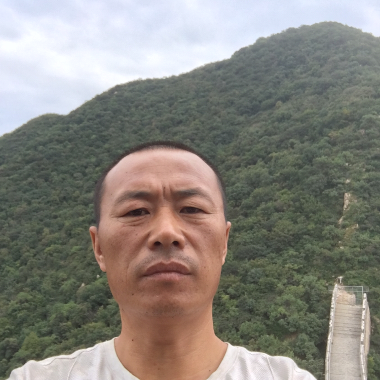 剪影就恬静的照片