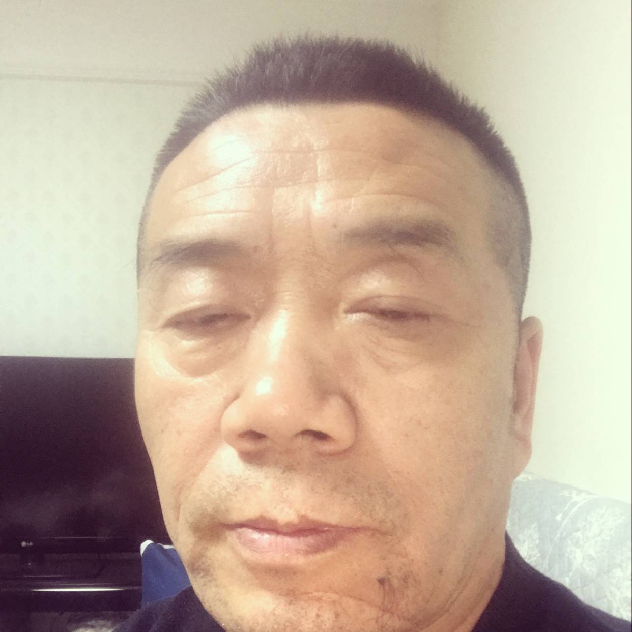 帅气那龙猫的照片