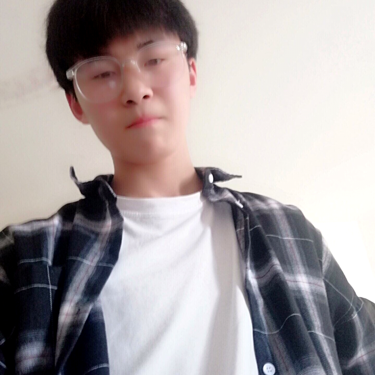 狗只队长的照片