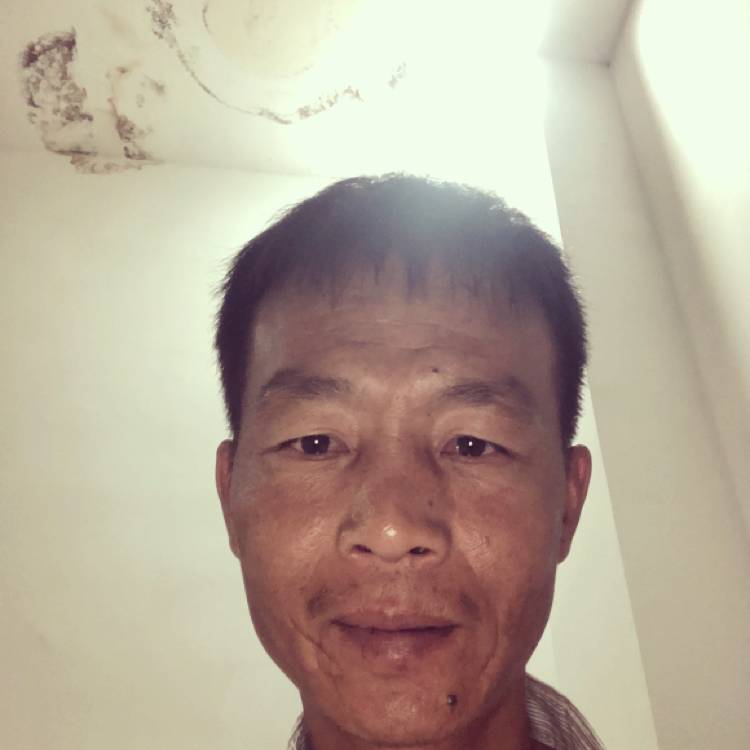 风格独特的的照片