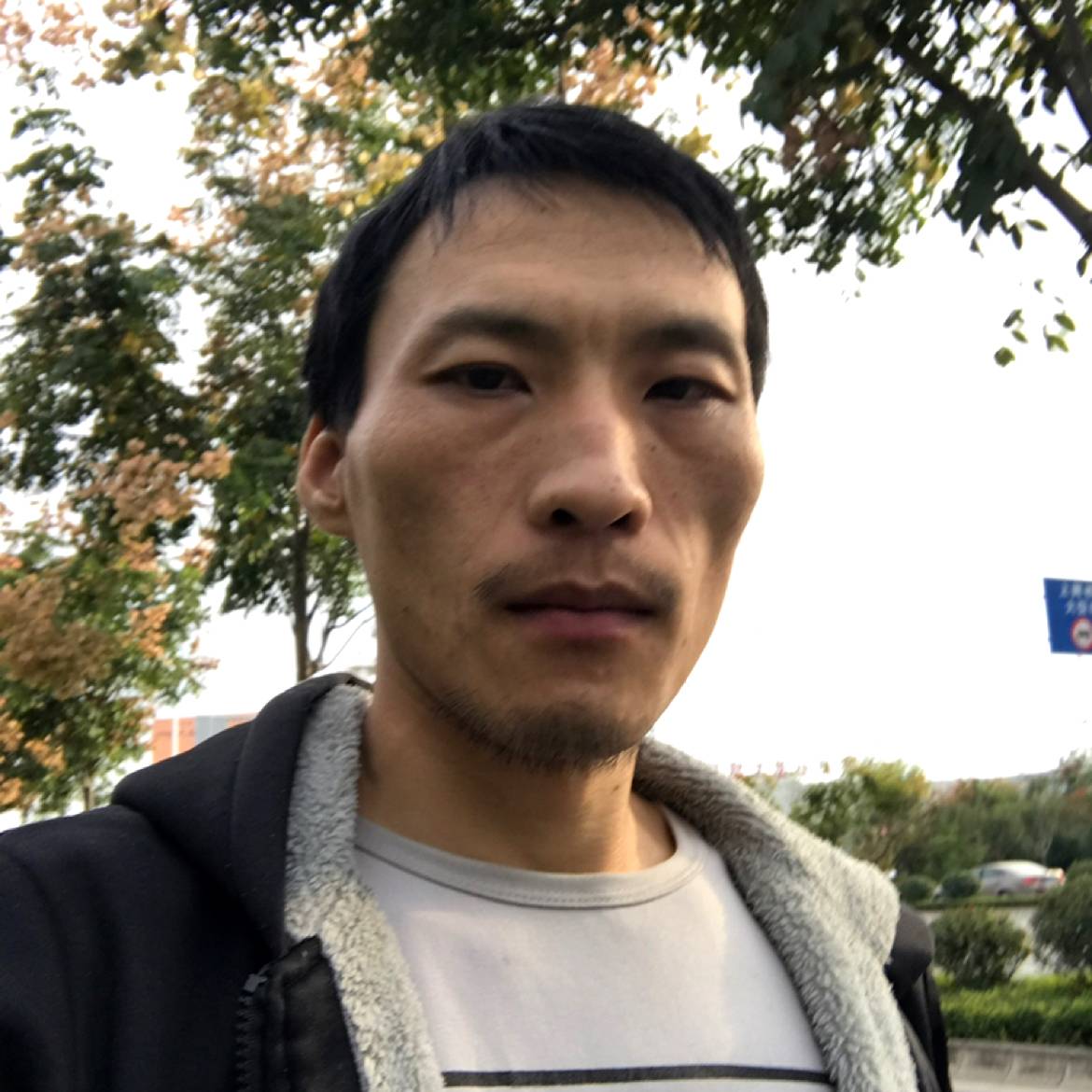 金毛笑活力的照片