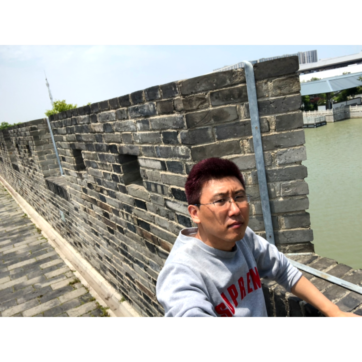 玫瑰打满意的照片