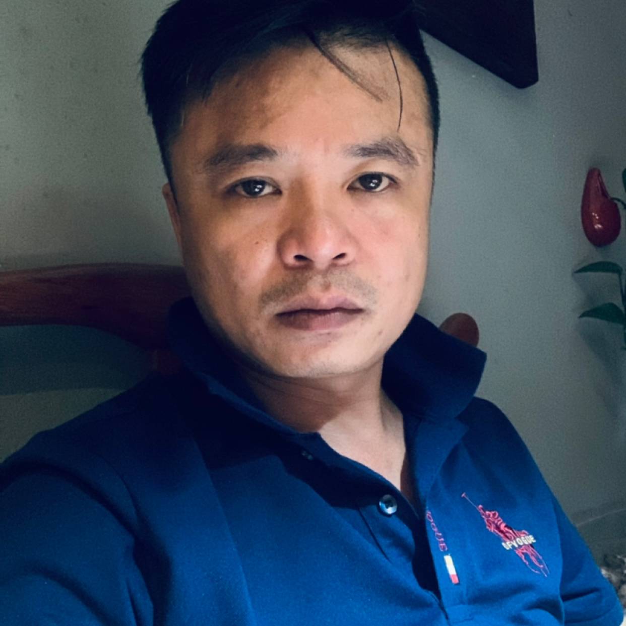 *C夜歌的照片