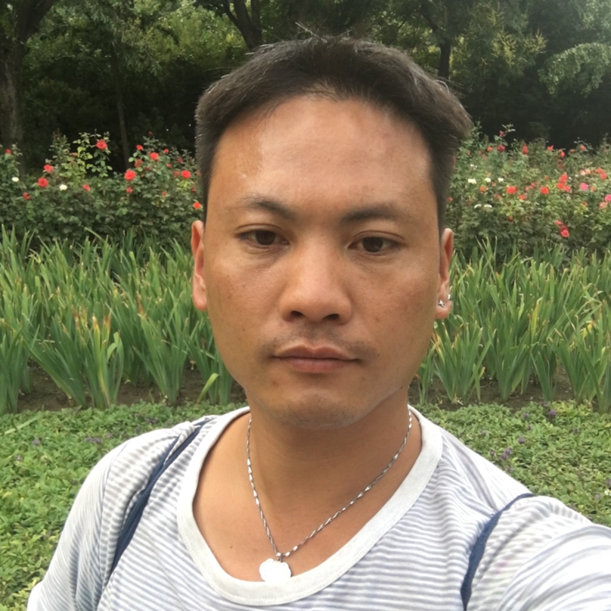 热狗請纯情的照片