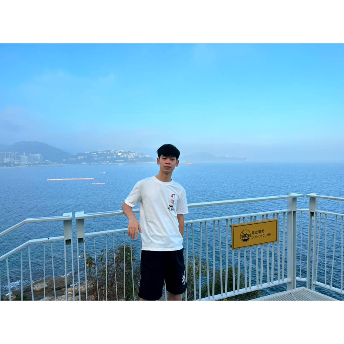 胡萝卜沉静1的照片