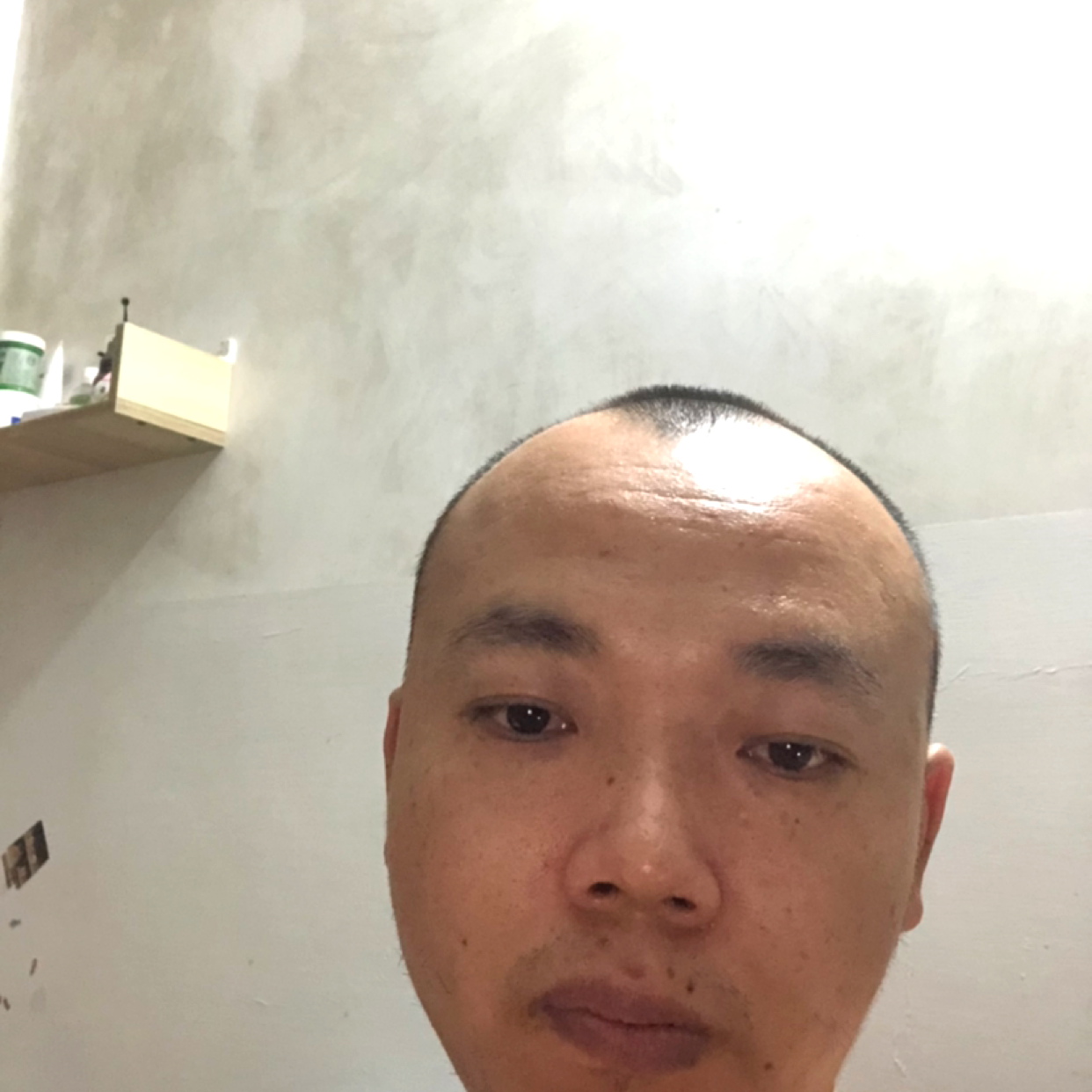 乌龟苦恋淡定的照片