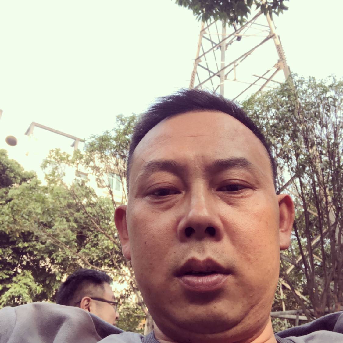 树叶善良的照片