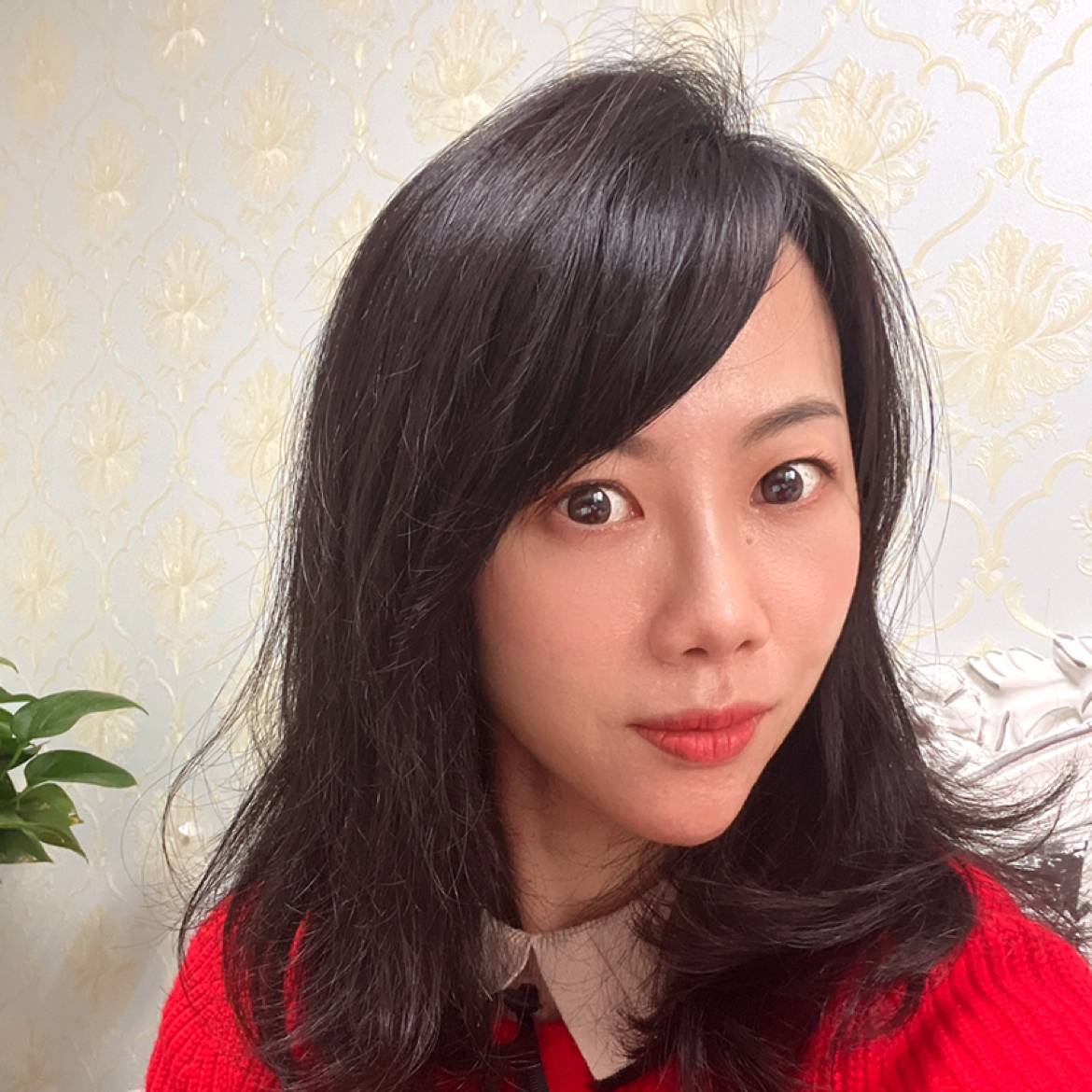 初见枫叶的照片