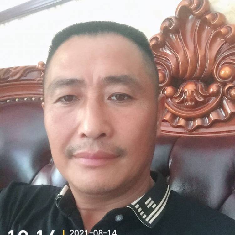 清秀浅吻鼠标的照片