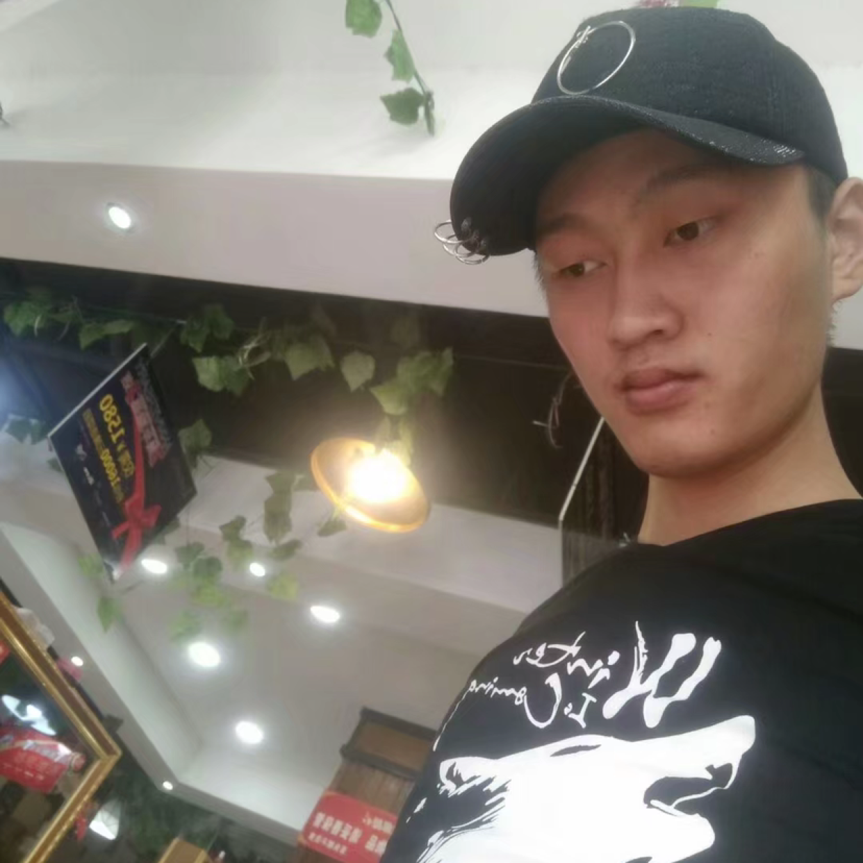懵狗的照片